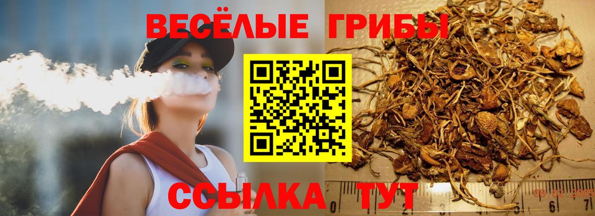 Галлюциногенные грибы Magic Shrooms  Вход с VPN  Луховицы  Псилоцибиновые грибы мицелий 