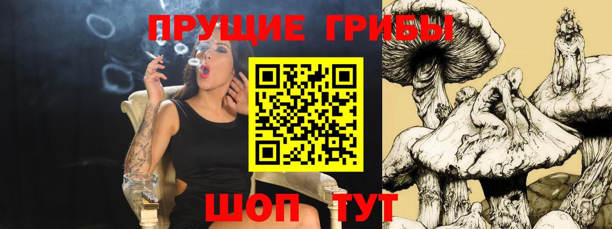 Галлюциногенные грибы MAGIC MUSHROOMS Луховицы